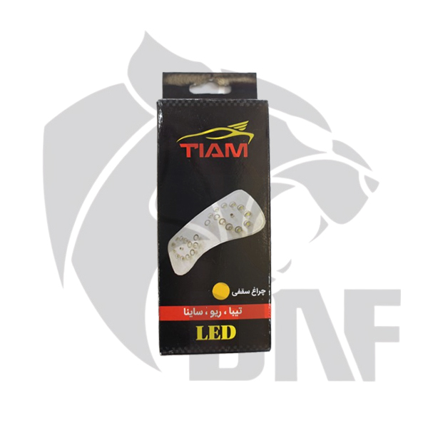 چراغ سقف یخی خودرو تیبا